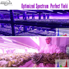 Vertical Full Spectrum LED Grow Lights Strip For Clone Use Vegetative Growth